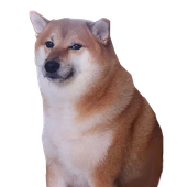 Secretly_Doggo 的头像
