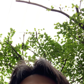 Deyndayne 的头像
