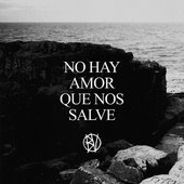 No Hay Amor Que Nos Salve - Single