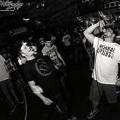 Camden Purple Turtle w/CRUEL HAND