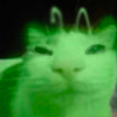 felix_471 的头像