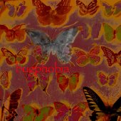 bugphobia