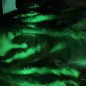 F75B898E-DD68-405A-860D-4D53A51DAE1A.jpeg
