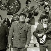 The Turtles_33.jpg