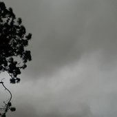 IMG_0838.jpeg
