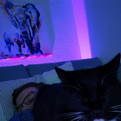 nicht_du_lul 的头像