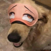 Pedro_3ds 的头像