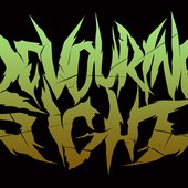 logo DS