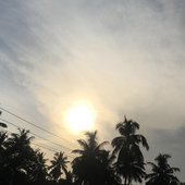 sunkissed