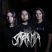 Sapraemia.jpg