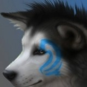 Avatar di VOLKGS27