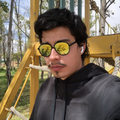 diegoarauped 的头像