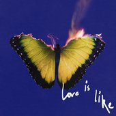 Love Is Like (Deluxe) [Clean] [Clean]