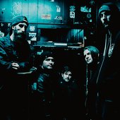 Chrysalis 2017