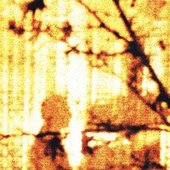 IMG_5333.jpeg