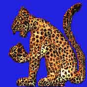 Avatar for JaguarBytes