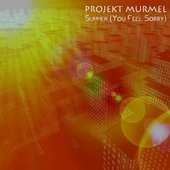 Summer (You Feel Sorry)