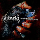 New Album 2009 !!