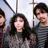 The Velveteers.jpg