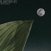 In Another Life