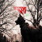 False Wurger