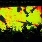 12186415_1140096082674764_3410839262052607040_o.jpg