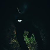 aehro