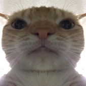 ohitsjamil 的头像
