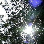 Light of Day - Single
