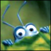 Avatar for fall_out_bug