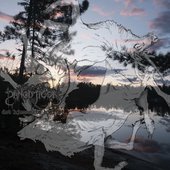 Det hjemsøkte hjertet