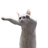 Avatar for onionblummy
