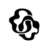 0038158435_10.jpg