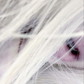 Avatar for mad^