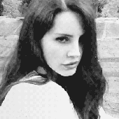 Avatar for luitnas