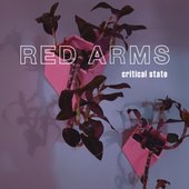 Critical State