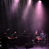 swifter + david maranha live
