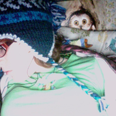beckowl 的头像