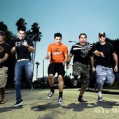 Zebrahead run