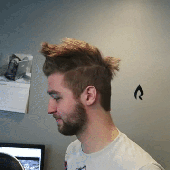 Jev
