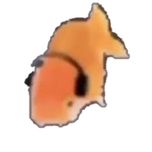 negatiivineo 的头像