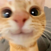 areeeeej 的头像