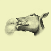 LastFM profile picture for @DeforMatiOn
