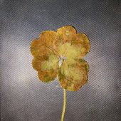 God Don't Make No Junk