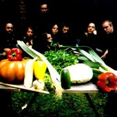 The Vegetable Orchestra