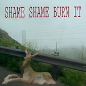 SHAME SHAME BURN IT