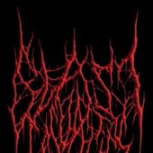 Blast Casualties