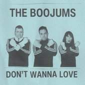 Don't Wanna Love