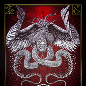 gojira1 的头像