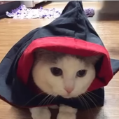 unmisasa 的头像